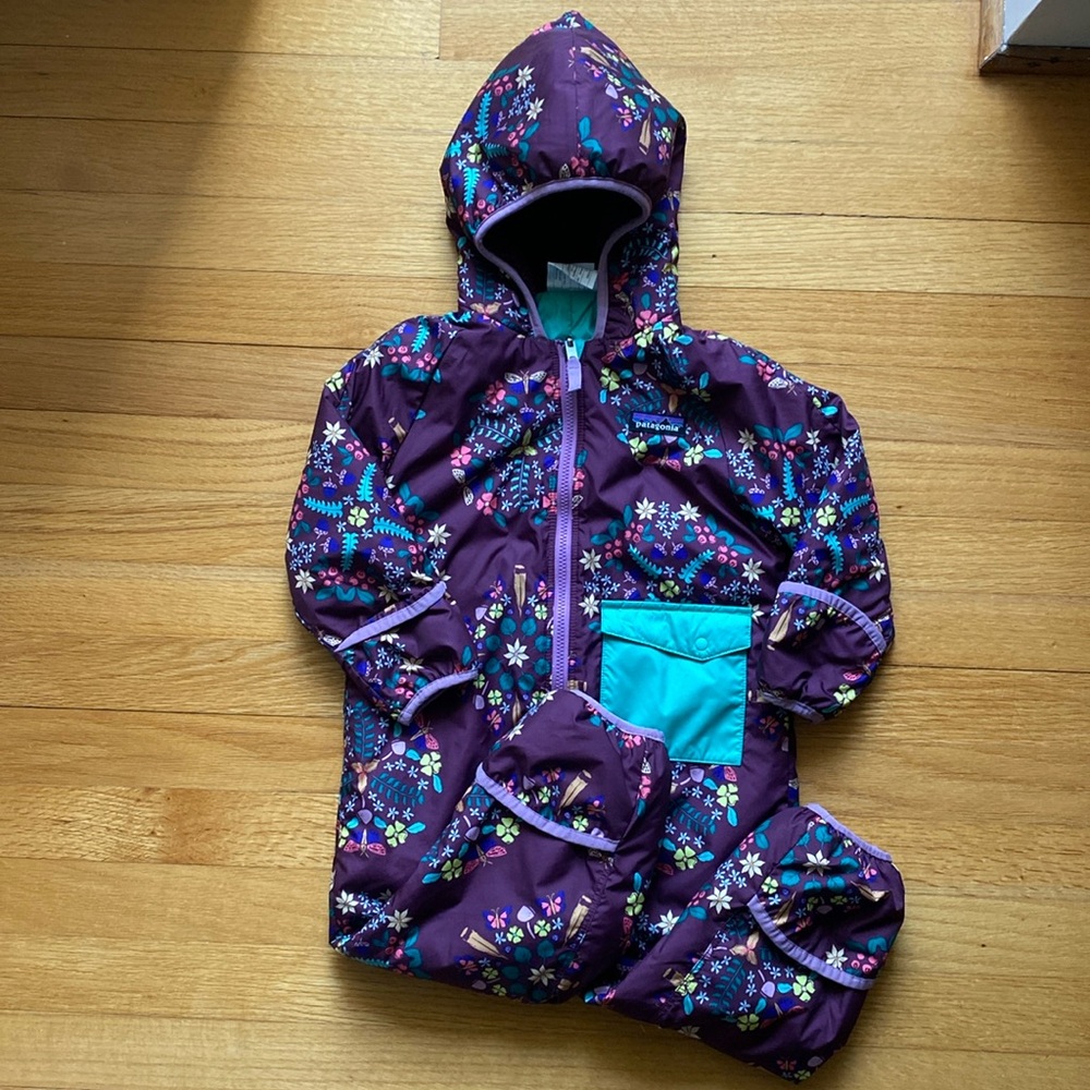 Patagonia Bunting